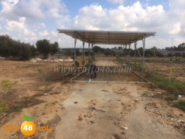 hai2a taso asmant (5).JPG